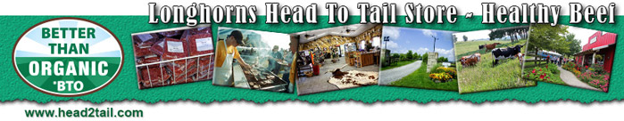 Longhorns Head To Tail
